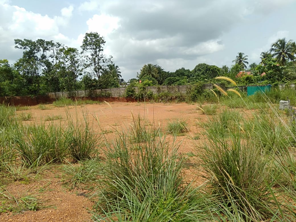 7 Cents of Land - for sale in Mulanthuruthy, Kochi ( Ernakulam ), Kerala
