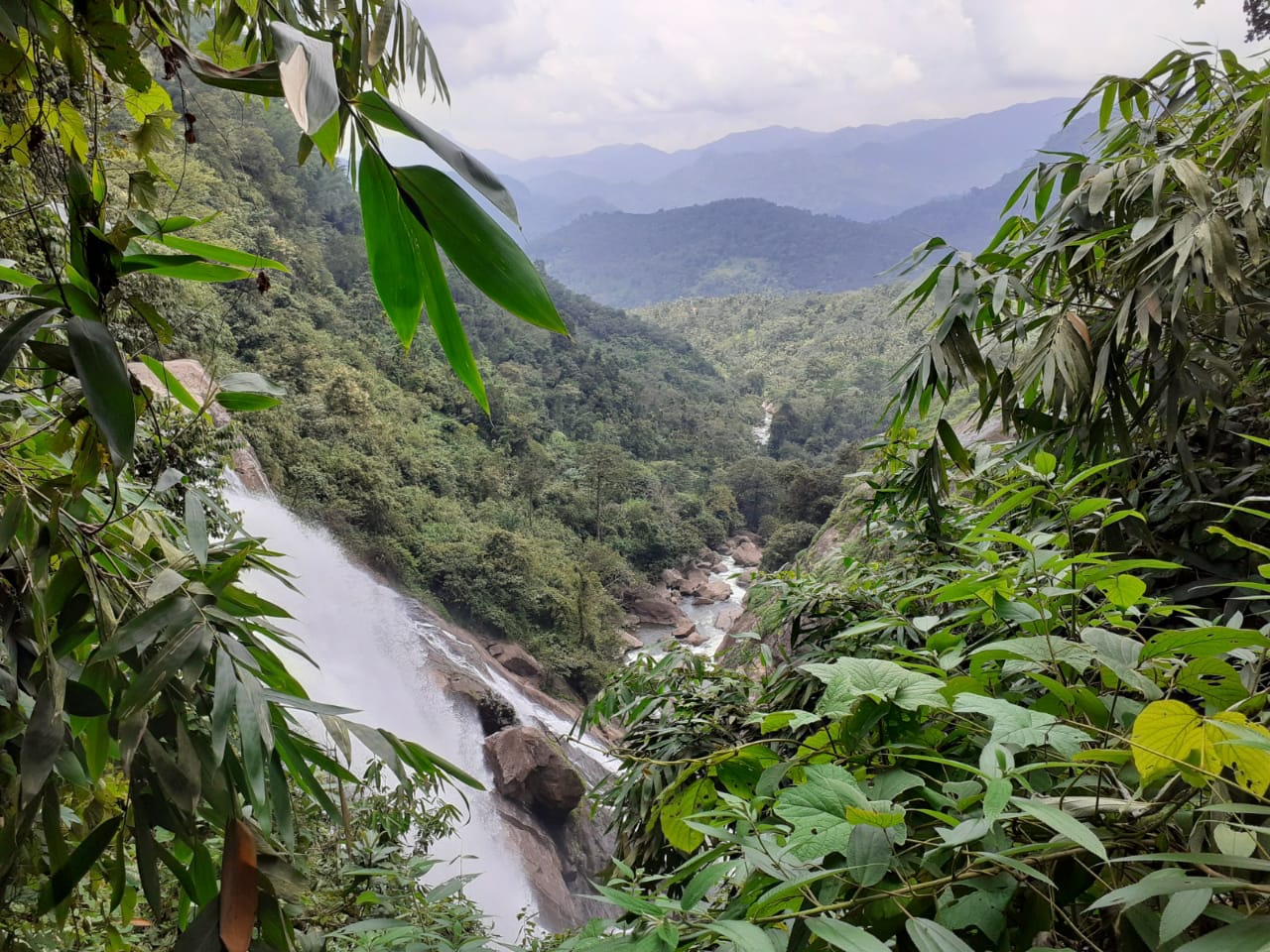 30 cents to 300 cents of Land - for sale in Mankulam, Idukki, Kerala