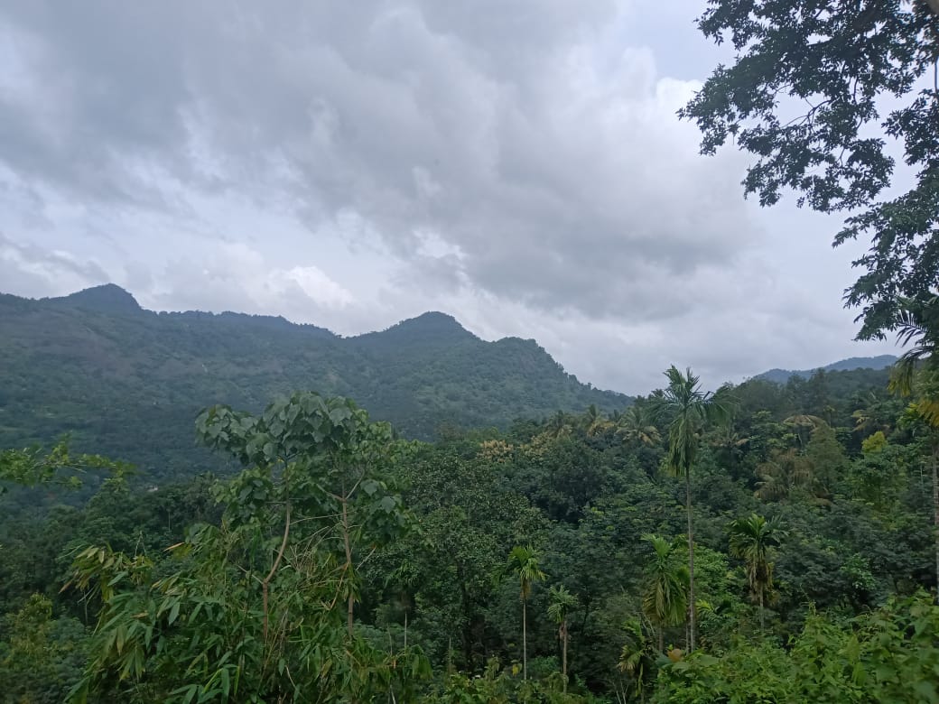 6,7,9,10cents of House Plots in Kizhakkambalam - for sale in Ptimtom Kizhakkambalam, Kochi ( Ernakulam ), Kerala