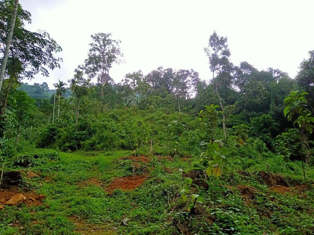 6,7,9,10cents of House Plots in Kizhakkambalam
