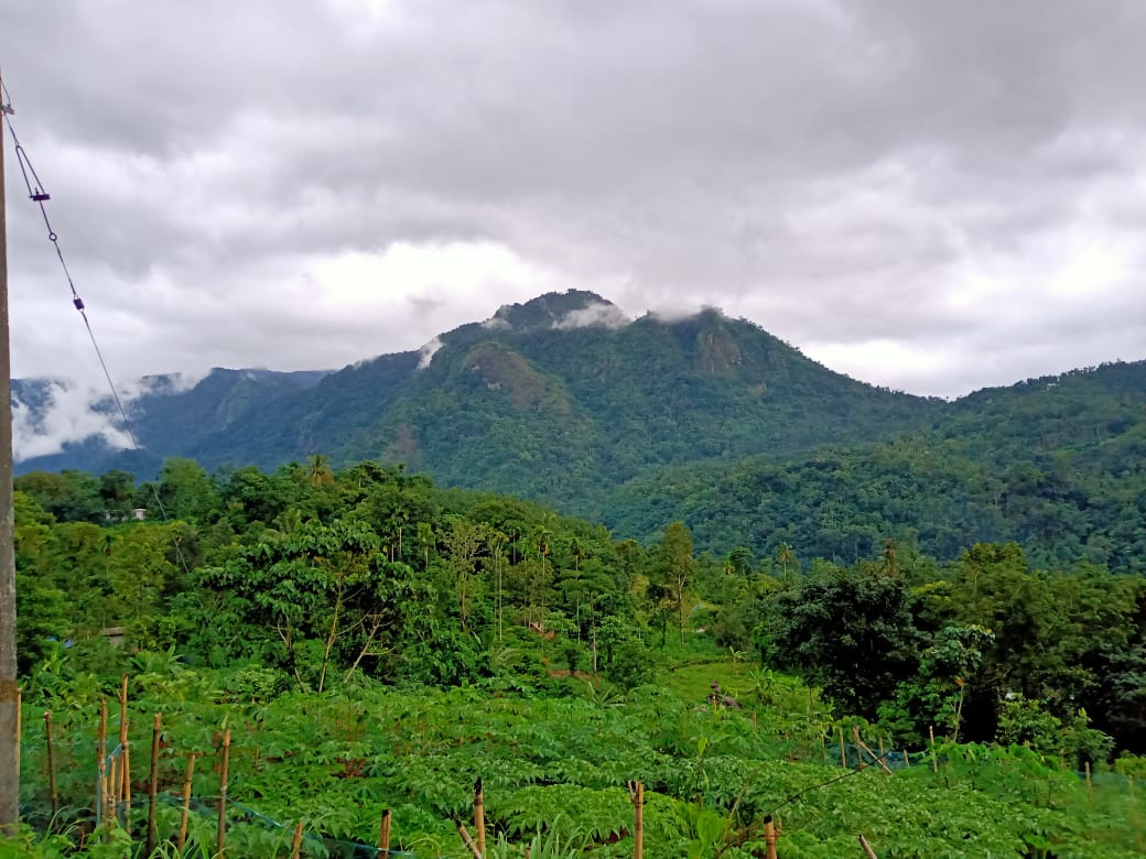 6,7,9,10cents of House Plots in Kizhakkambalam