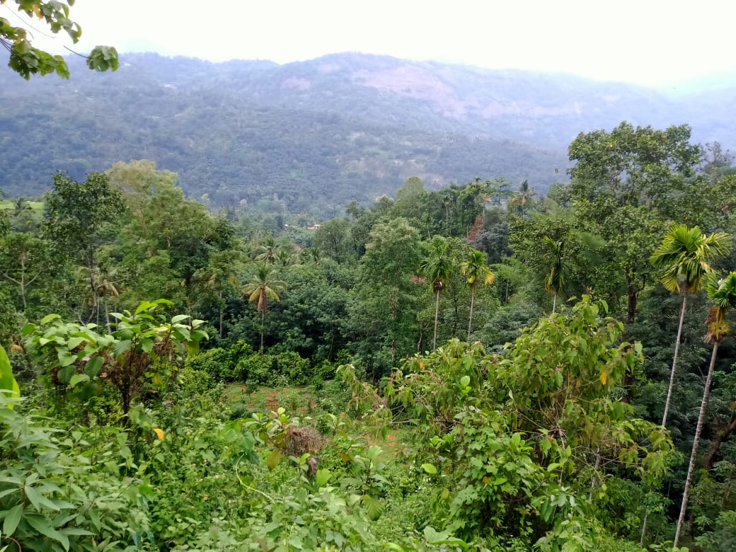 6,7,9,10cents of House Plots in Kizhakkambalam