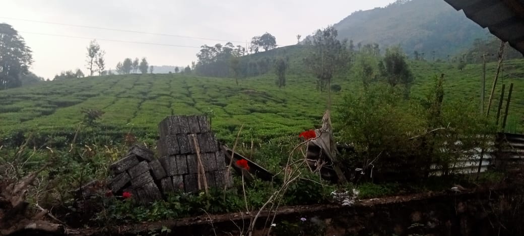 50 Cent of Land - for sale in Munnar Idukki, Idukki, Kerala