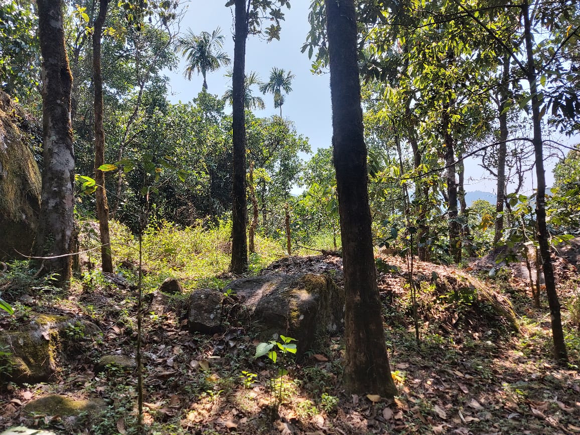90 Cents of Land