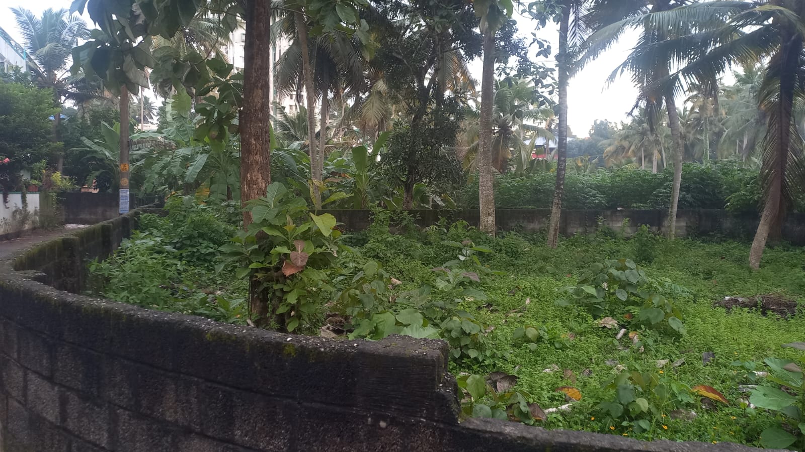 8 Cents of Residential Plot for Sale in Nalanchira, Trivandrum