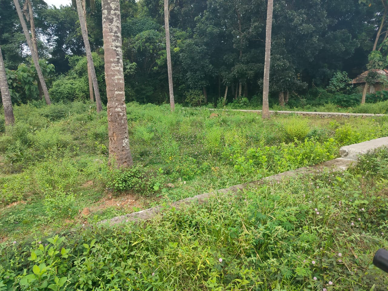 10 cent of Commercial Land