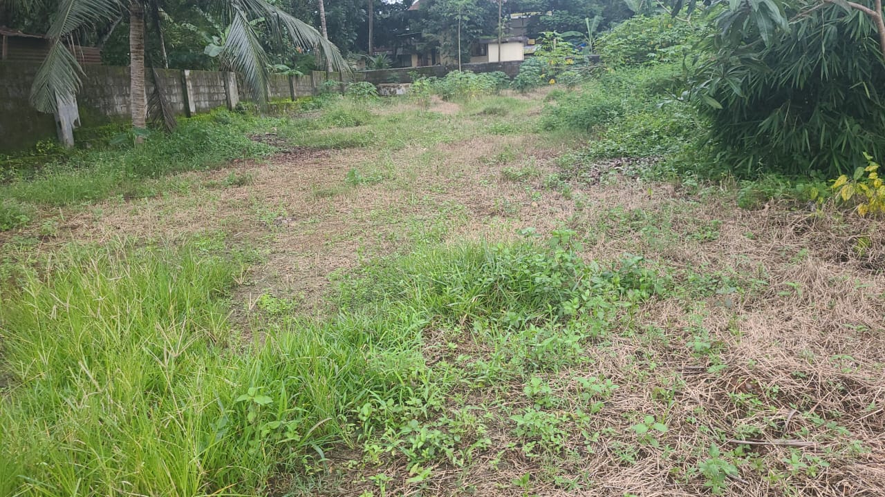 1600sqft, 3BHK Semifurnished Flat in Thevara