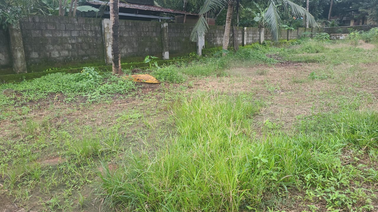 1600sqft, 3BHK Semifurnished Flat in Thevara