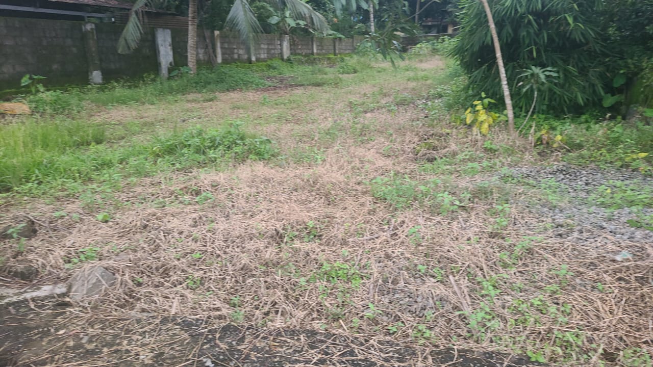 1600sqft, 3BHK Semifurnished Flat in Thevara