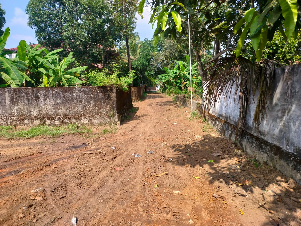 20 cents of land near Cochin Aiport, Nayathodu
