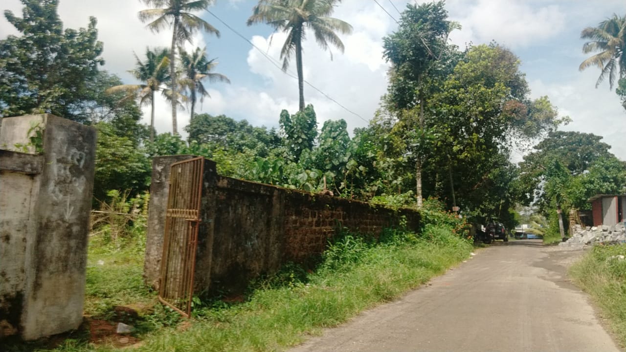 1 Acre of Land