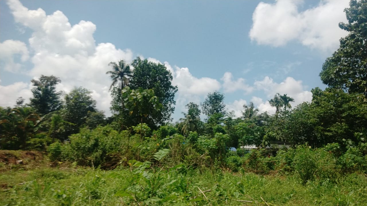 1 Acre of Land