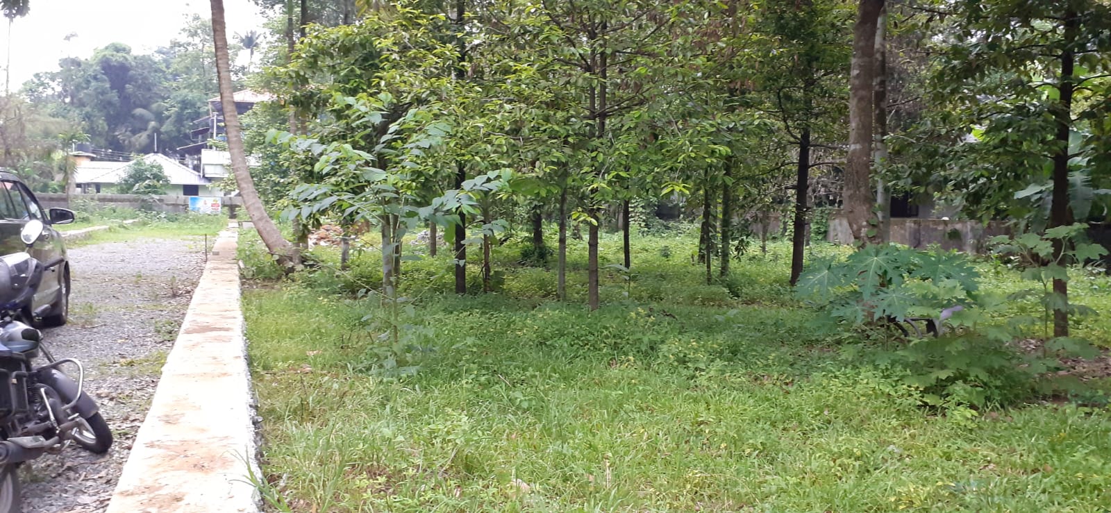4BHKBrandnew House with 7cent land2200 sqft