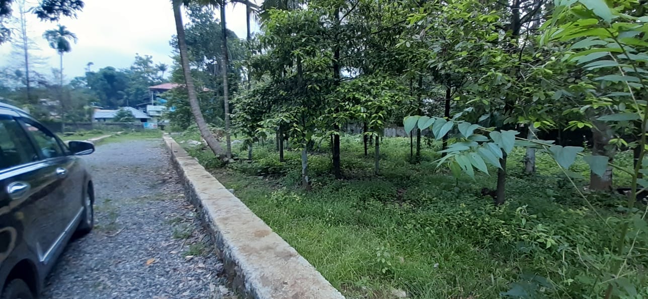 4BHKBrandnew House with 7cent land2200 sqft