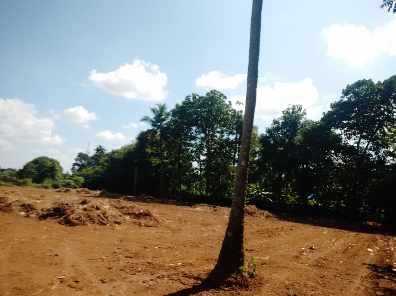 3BHK Unfurnished Flat for sale at Vennala, Palarivattom, 1400sqft