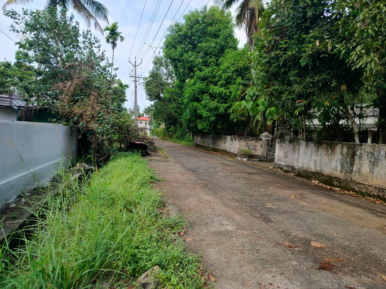 5Cents of House Plots
