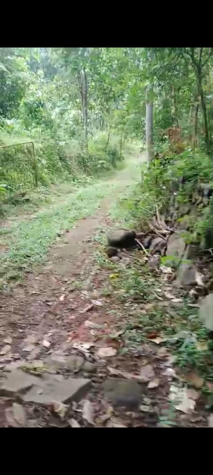 9.5 cents land for sale in Nedumbassery