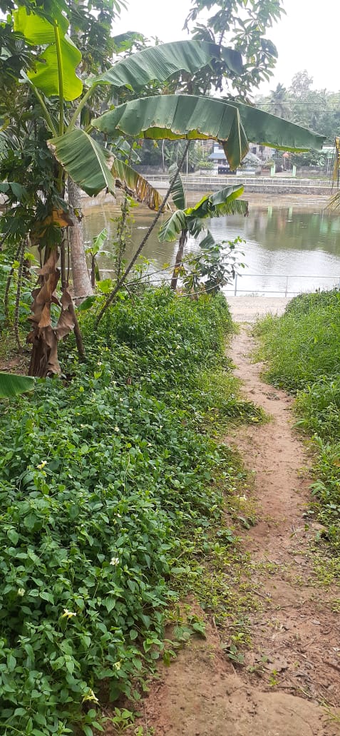 3BHK Brandnew House with 4cent 1350qft in Udayamperoor, Tripunithra