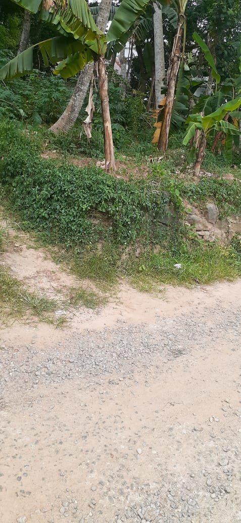 3BHK Brandnew House with 4cent 1350qft in Udayamperoor, Tripunithra