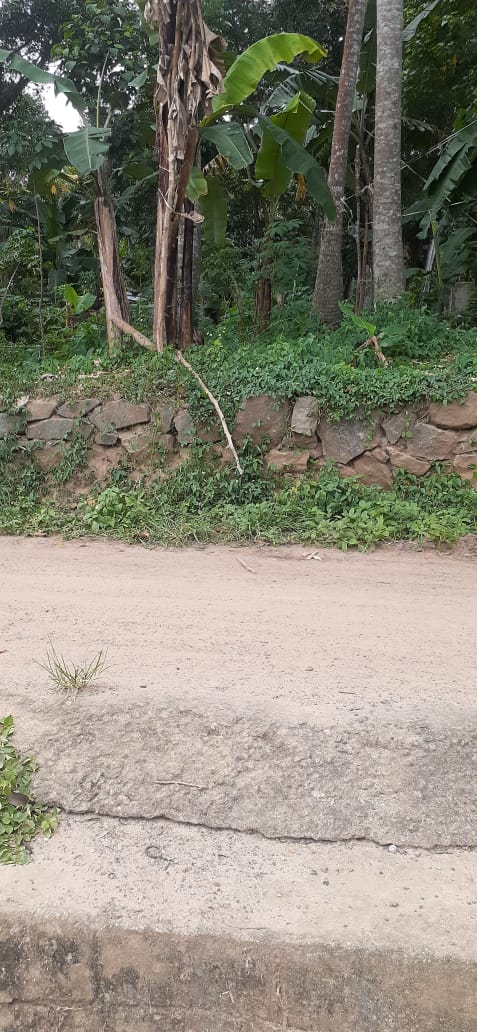 3BHK Brandnew House with 4cent 1350qft in Udayamperoor, Tripunithra