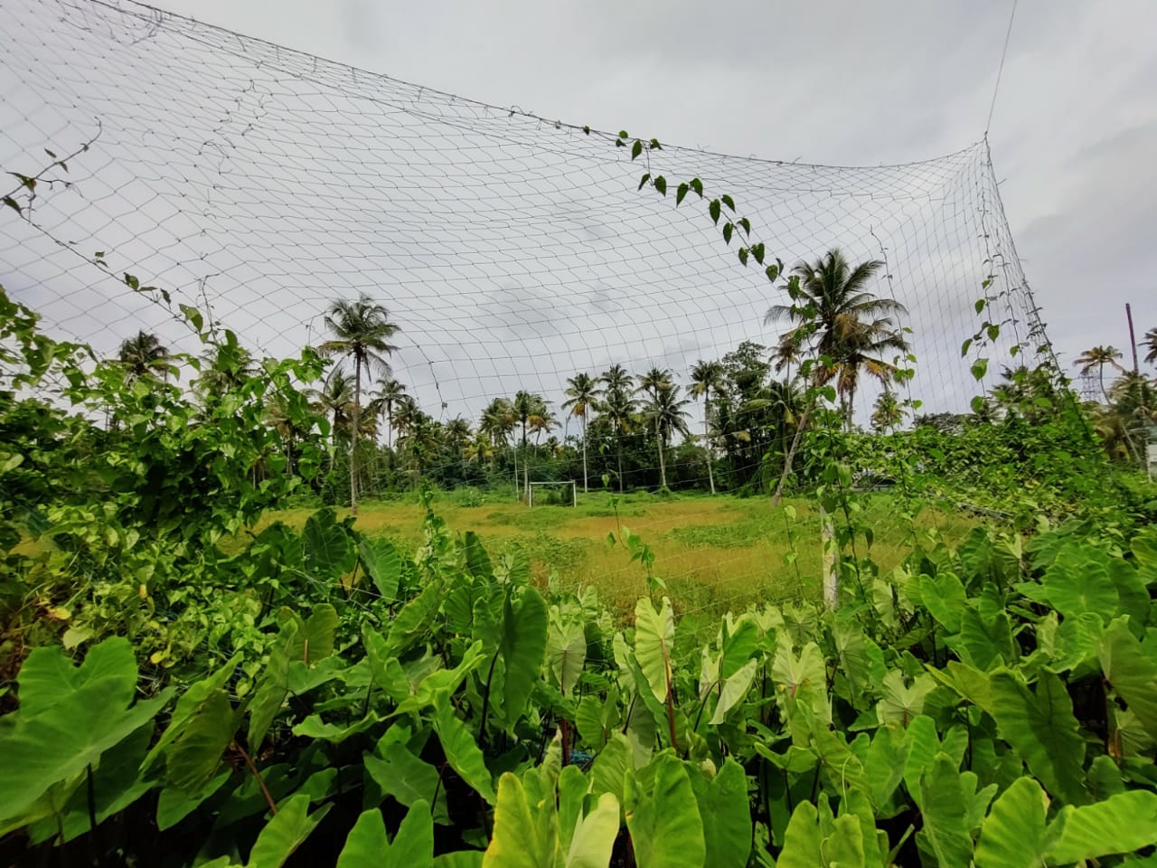 1 Acres of Land - for sale in Vaikulangara, Kochi ( Ernakulam ), Kerala