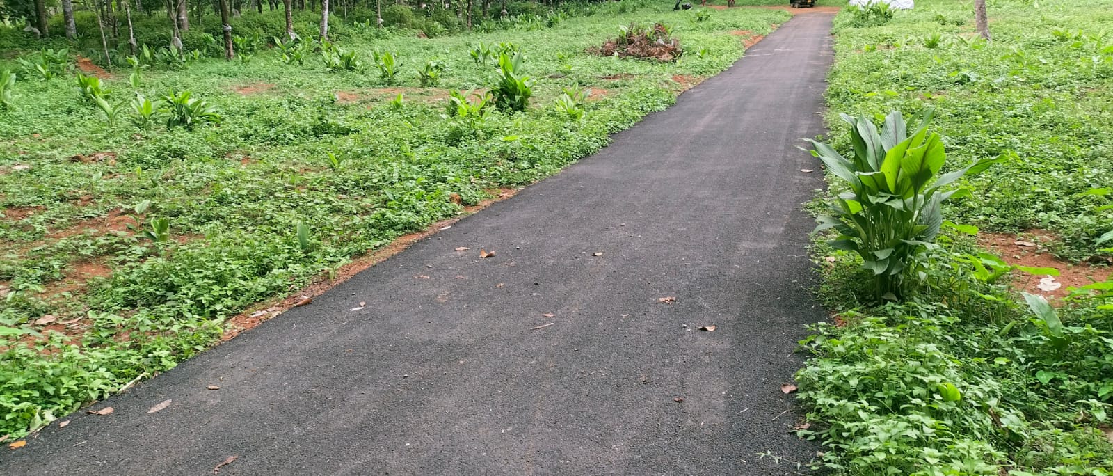 3BHK Brandnew Villa 1577sqft in Venikulam, Thiruvankulam