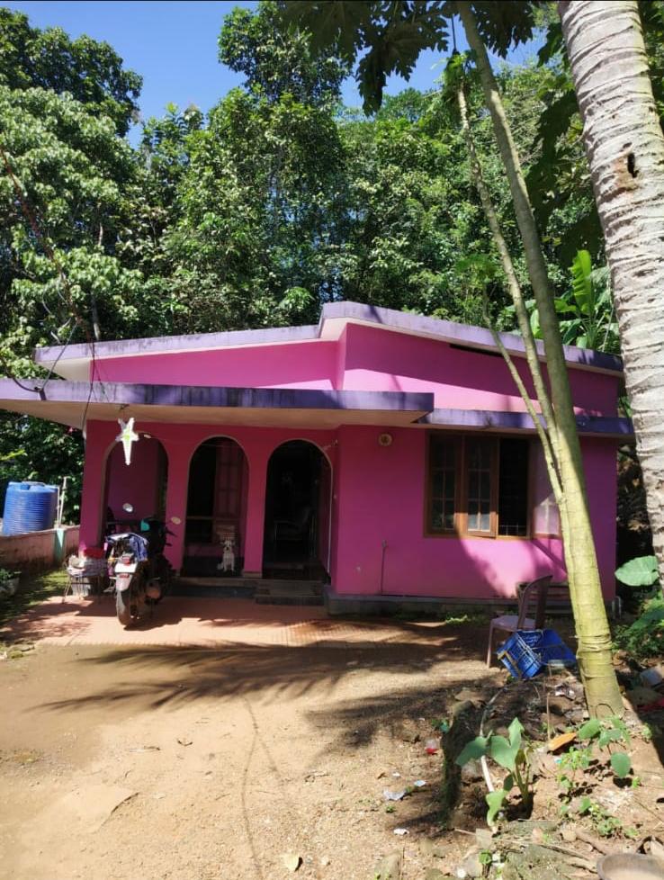 3 BHK House for sale950 Sqft - for sale in Murikkumpuzhapala, Kottayam, Kerala