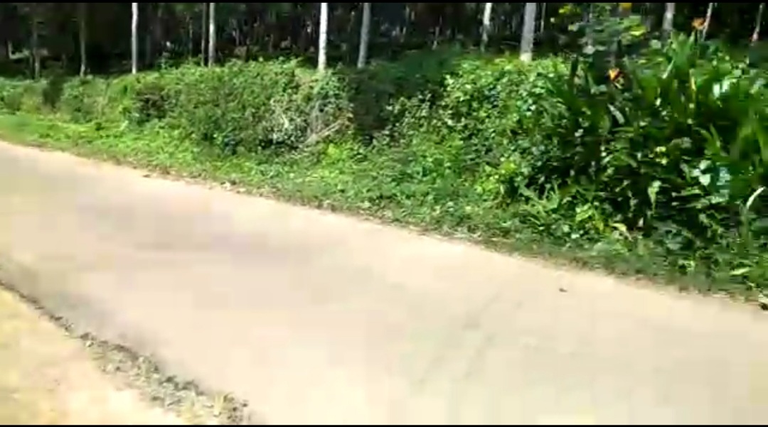 3BHK Semifurnished House with 10 Cent Land1800sqft - for sale in Pala Kottayam, Kottayam, Kerala