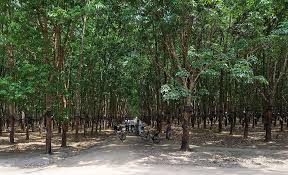 2050 sqft Commercial property for rent in Kadavanthra