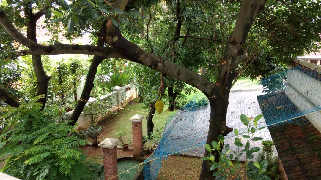 1315sqft 3BHK flat at Alinchvadu,Palarivatom - for sale in Alchvadupalarivom, Palarivattom, Kerala