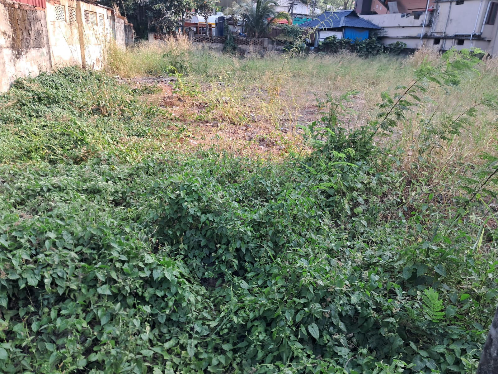 23 Cents of Prime Commercial Land in Palarivattom