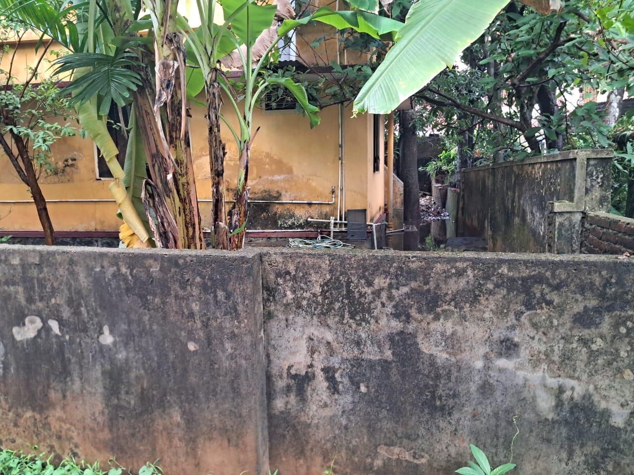 3.5cent of Residential/ Semi-Commercial Plot in Palarivattom