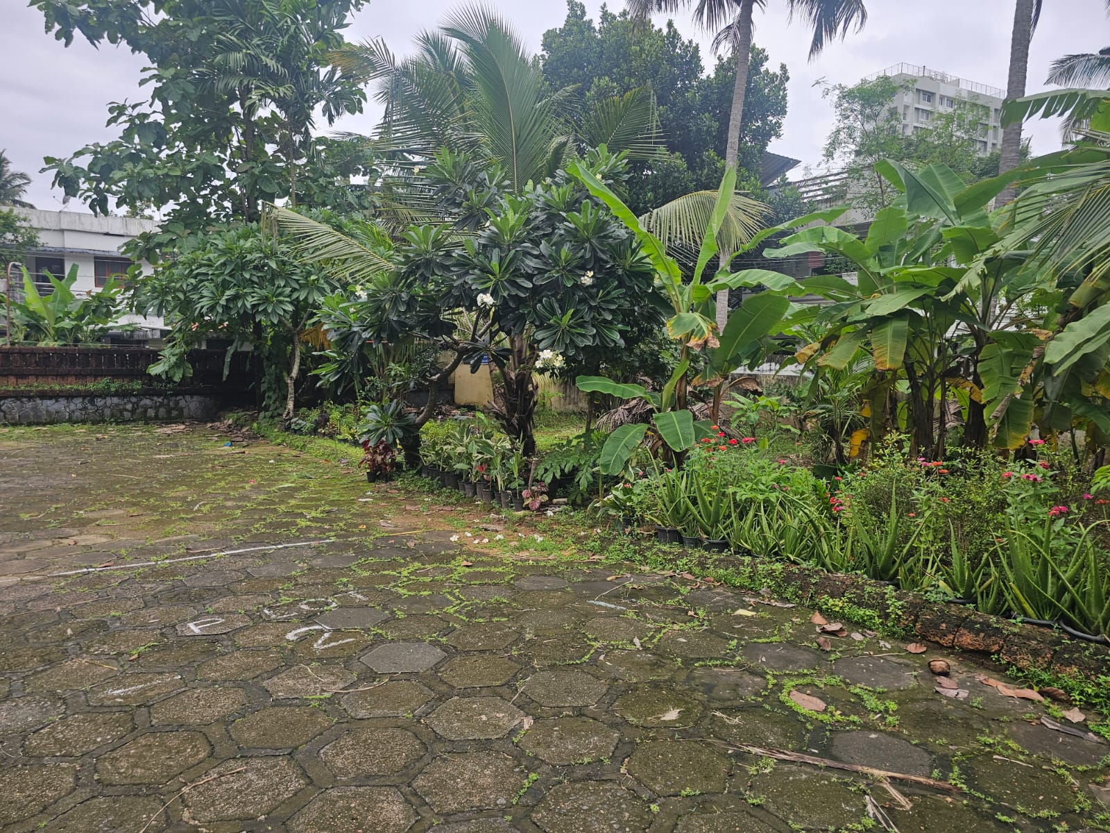 5Cent of Residential Plot - for sale in Vennala , Palarivattom, Kerala