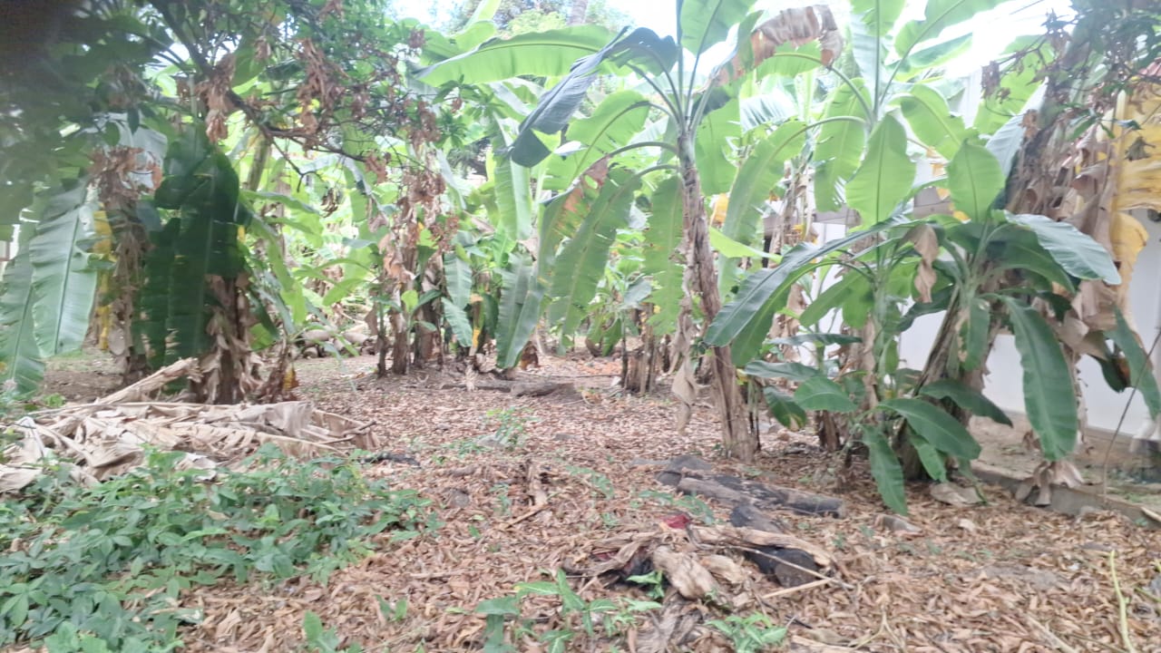 7 cents of Prime Residential Property near Palarivattom