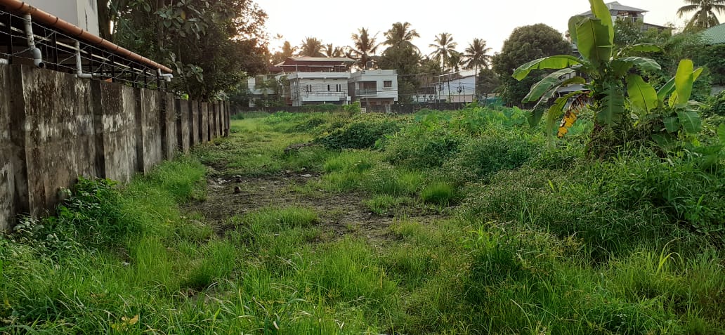 2100sqft 4BHK Brandnew House with 10cent in Pattimattom