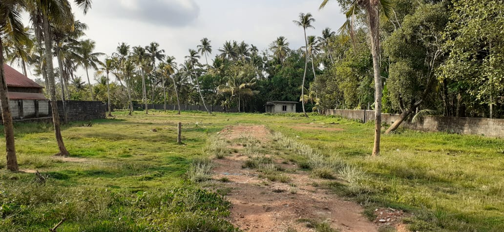 3BHK+Study Semifurnished Villa-airport Road, Kakkanad, 1700sqft