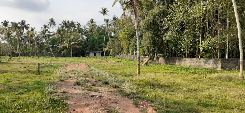 3BHK+Study Semifurnished Villa-airport Road, Kakkanad, 1700sqft