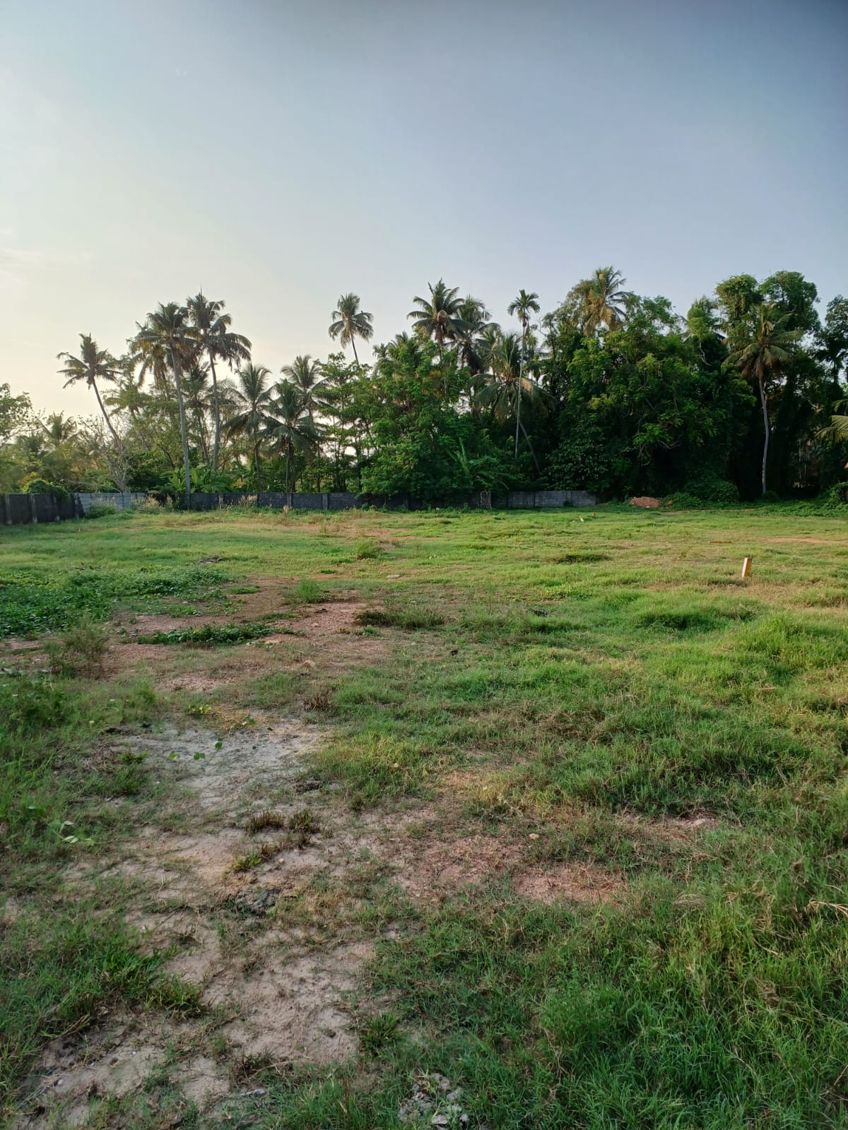 125Cents of Land