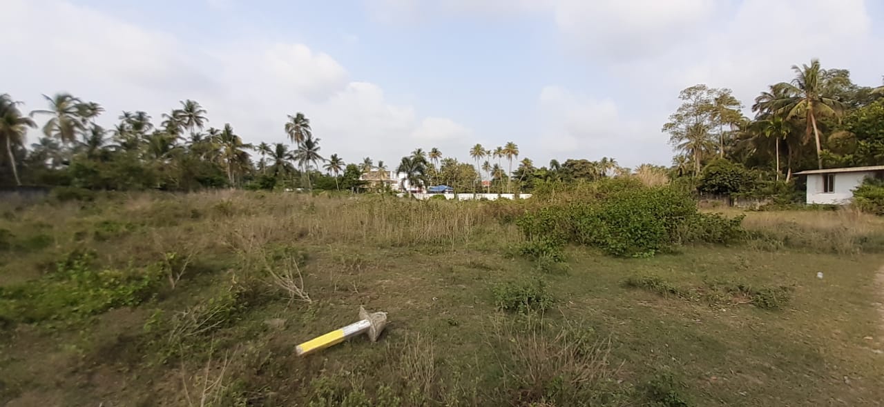 13 cents of Commercial Land and