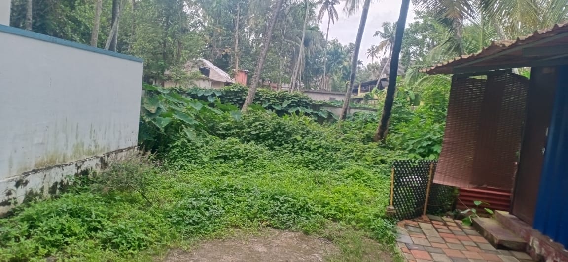3.5cent Land - for sale in Panangad Ernakulam, Kochi ( Ernakulam ), Kerala