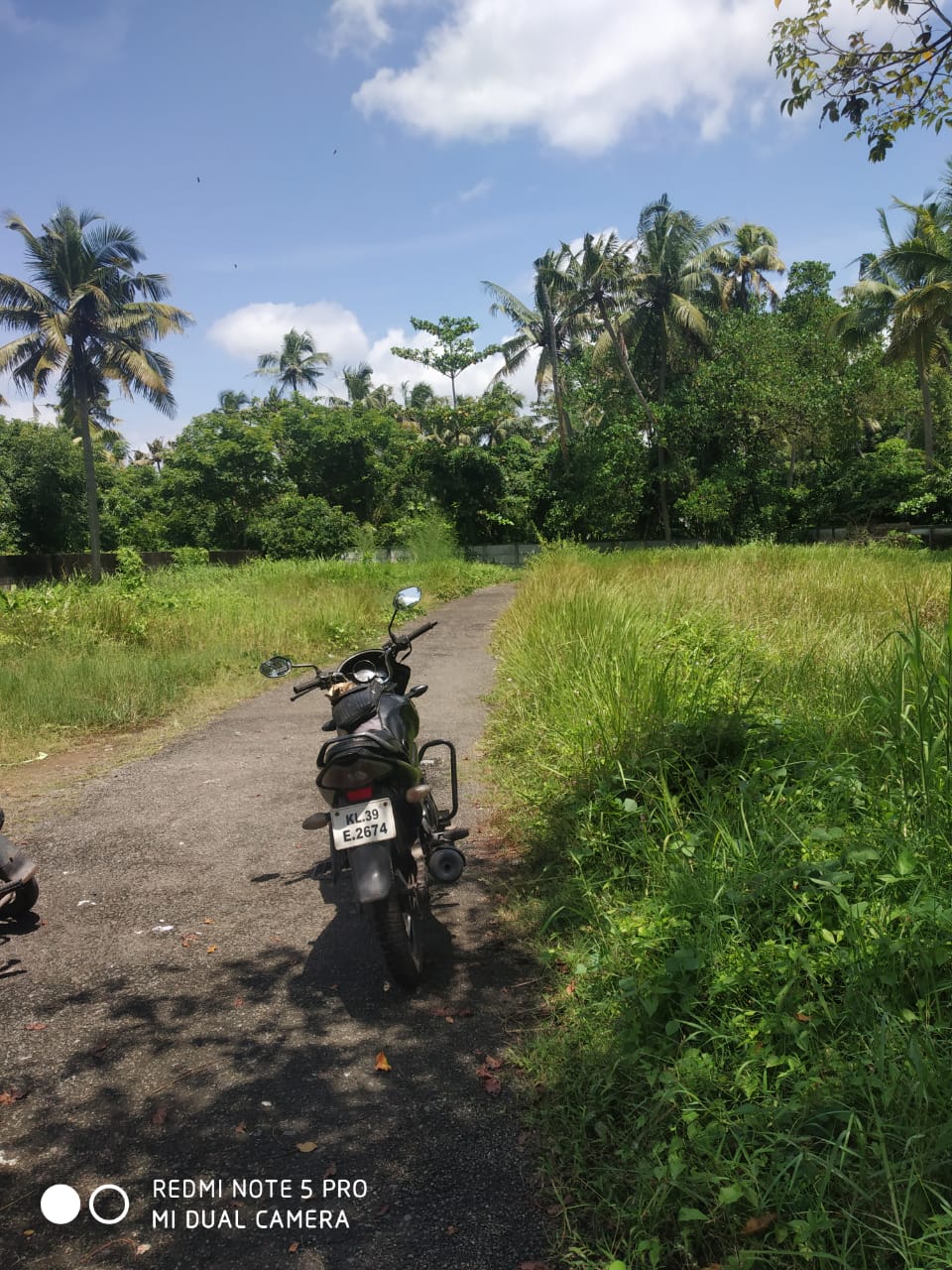 6.5 Cents of Land with 1200sqft Old House - for sale in Madavana, Kochi ( Ernakulam ), Kerala