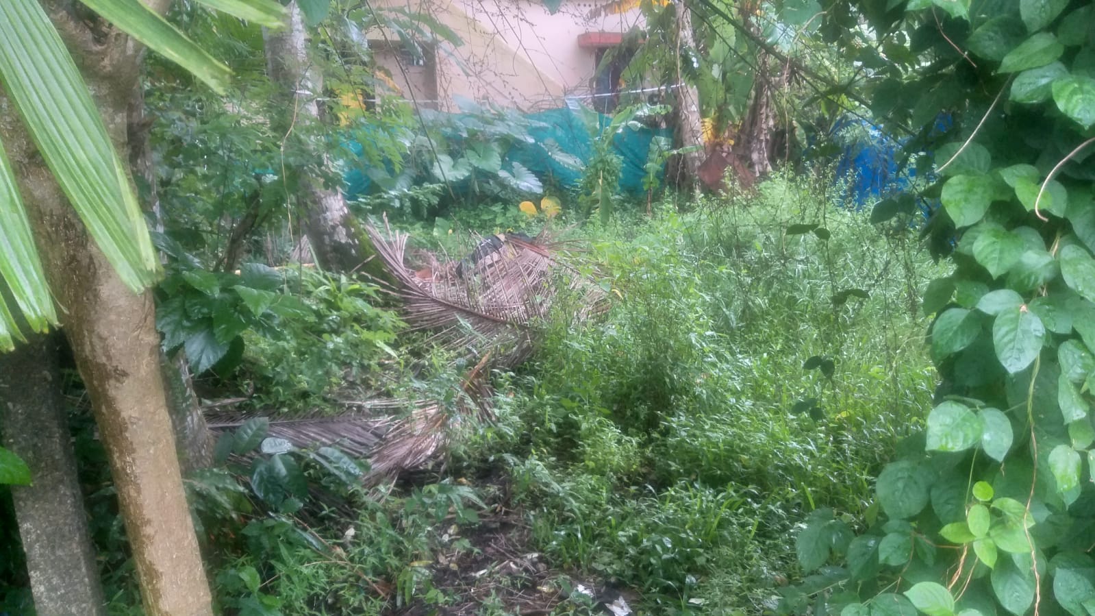 7.38 Cent land for sale. - for sale in Panangadernakulam, Kochi ( Ernakulam ), Kerala