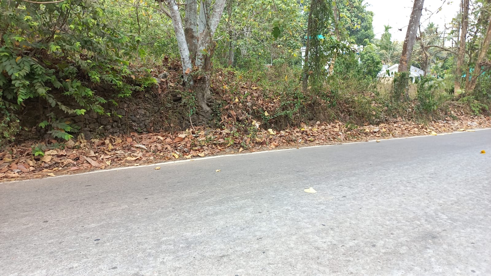 25Cents of Residential/Commercial land