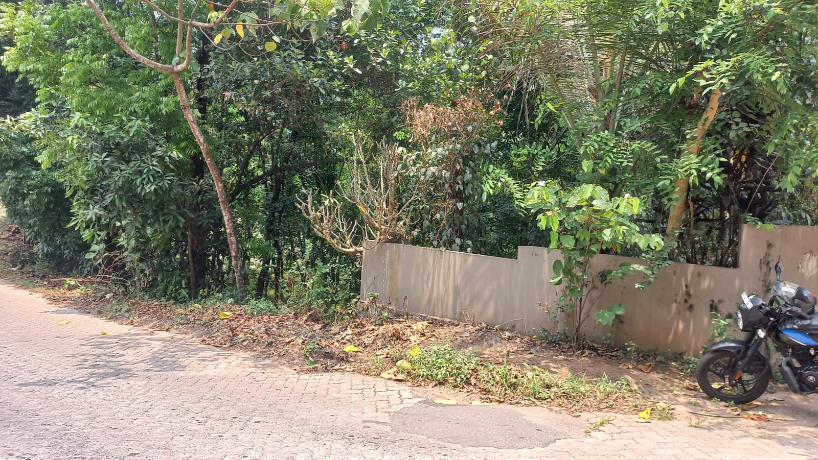 75cent of Land with old house in Valambur, Pattimattom