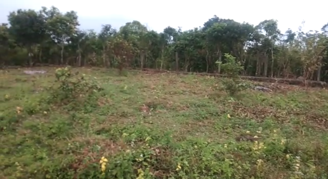 48Cents of Land