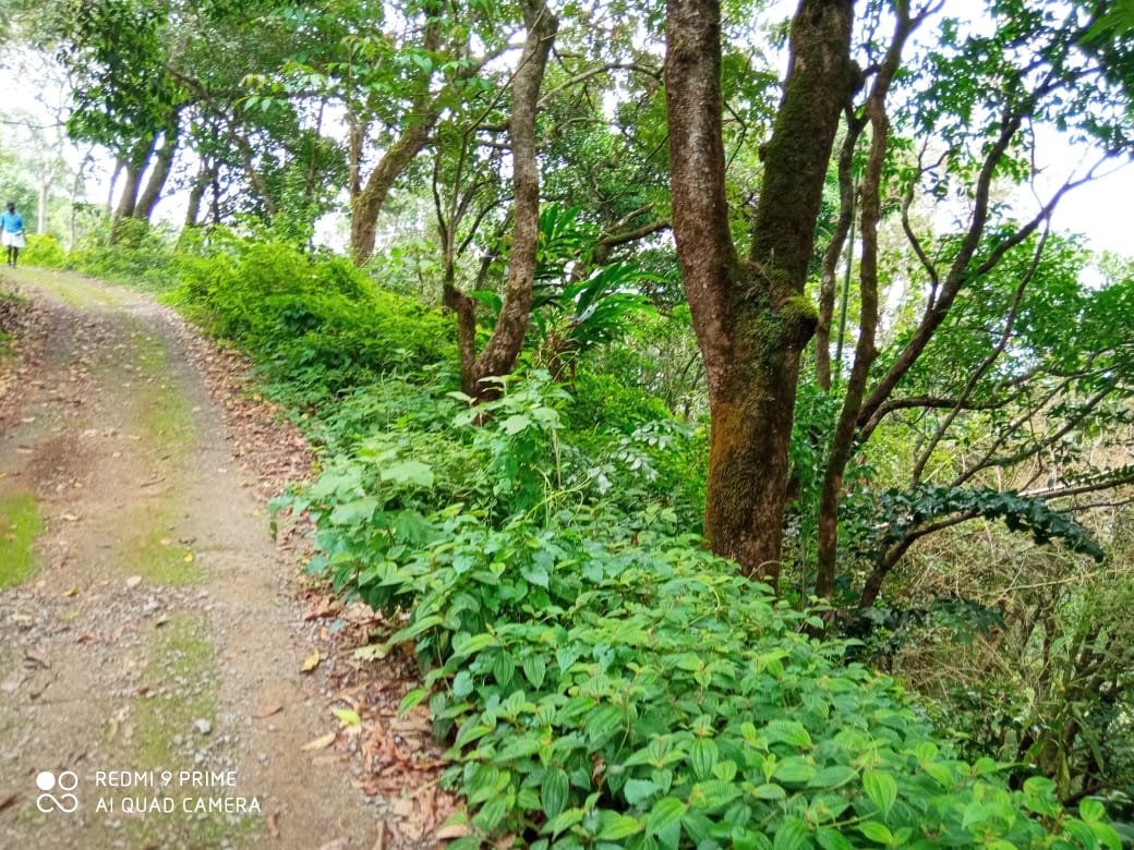 5 Acres of Land