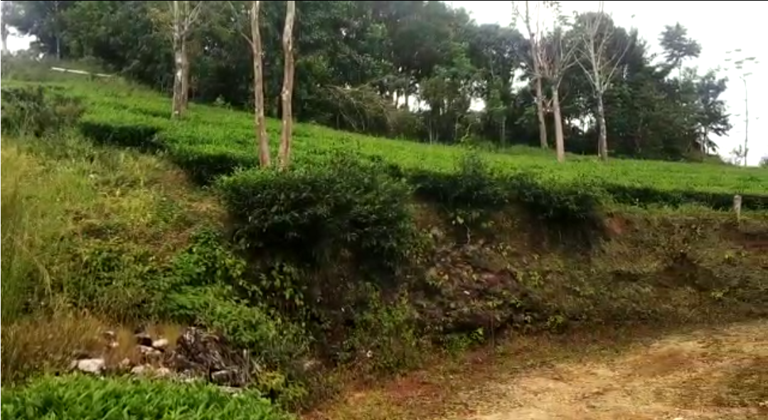 5Acres of Land
