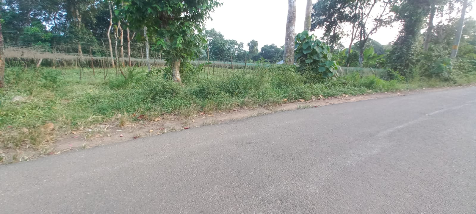 55Cents of Land in Monippilly, Puthencruz