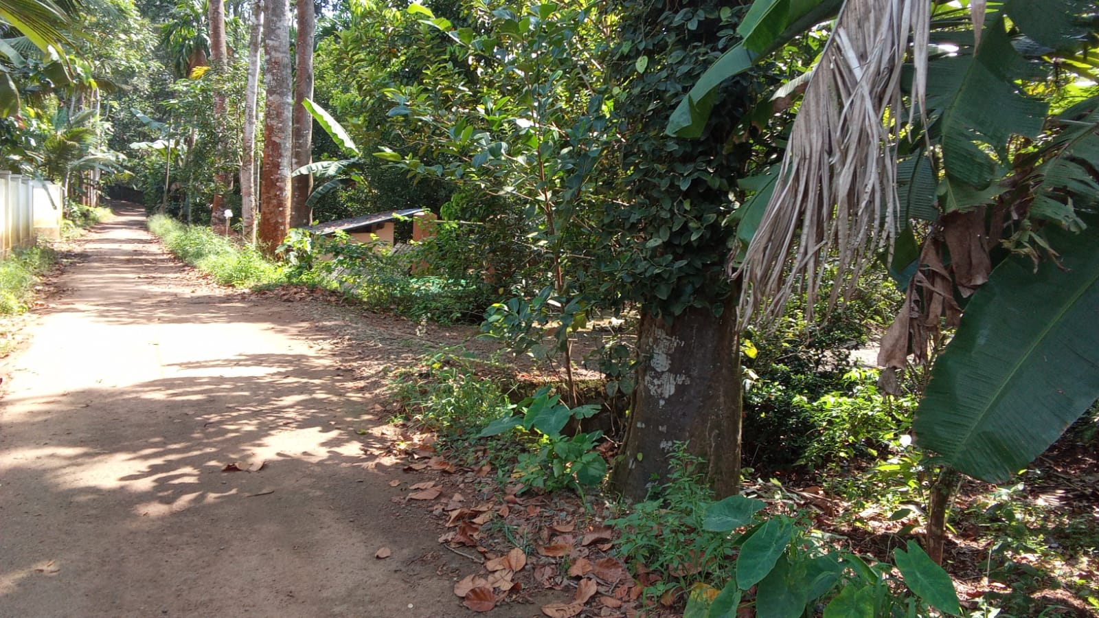 74cents of Land with Old House in Puthencruz