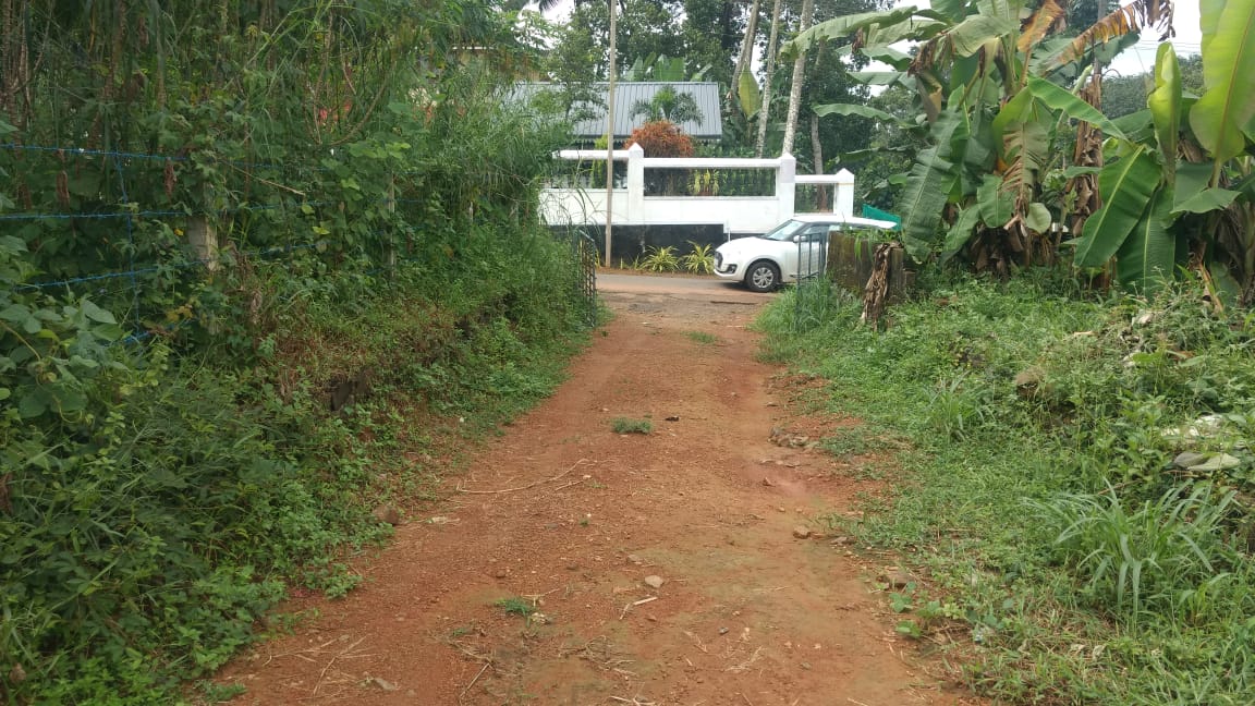 120  Cent Land  for sale. - for sale in Thiruvaniyoor, 18, Kerala
